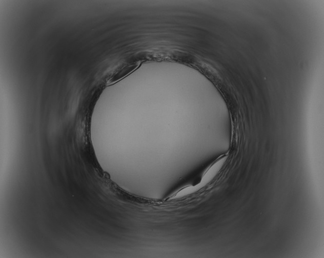 X0000086021060200704131845