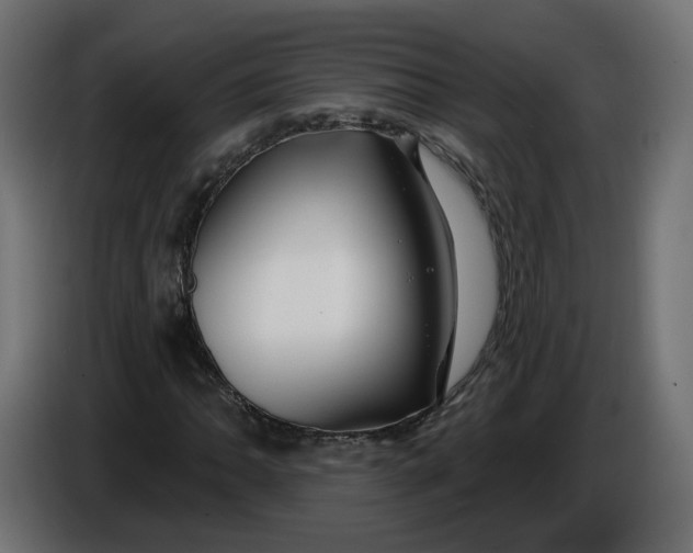X0000086021062200704131845