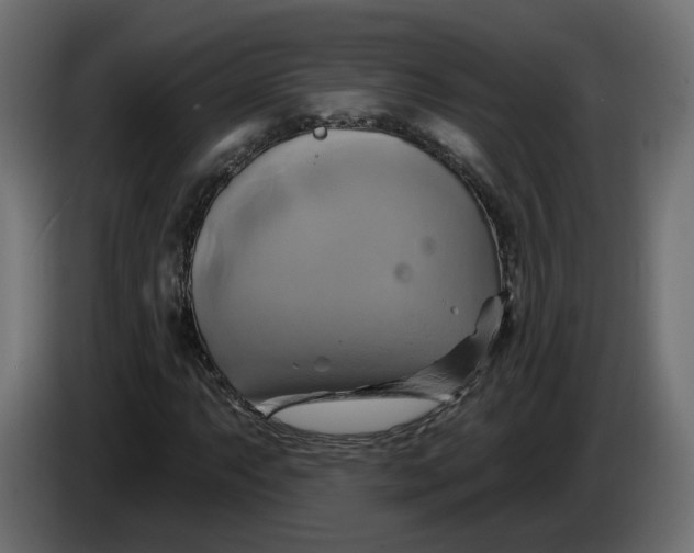 X0000086021063200704131845