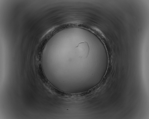 X0000086021064200704131845