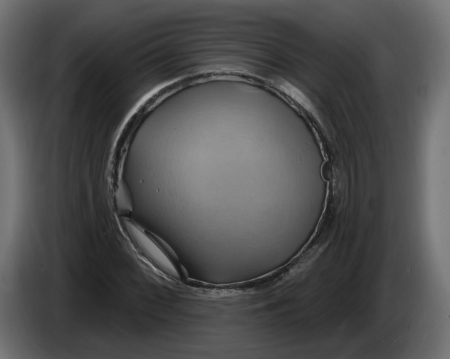 X0000086021068200704131845