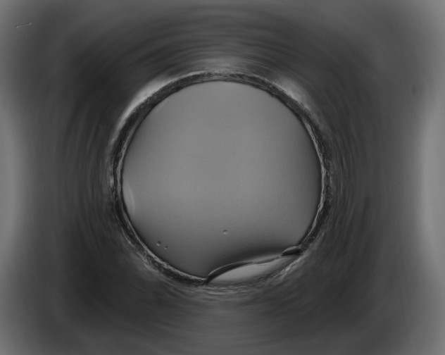 X0000086021070200704131845