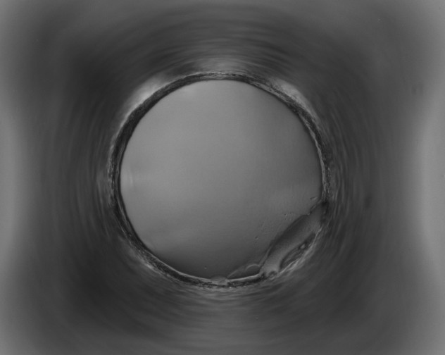 X0000086021071200704131845