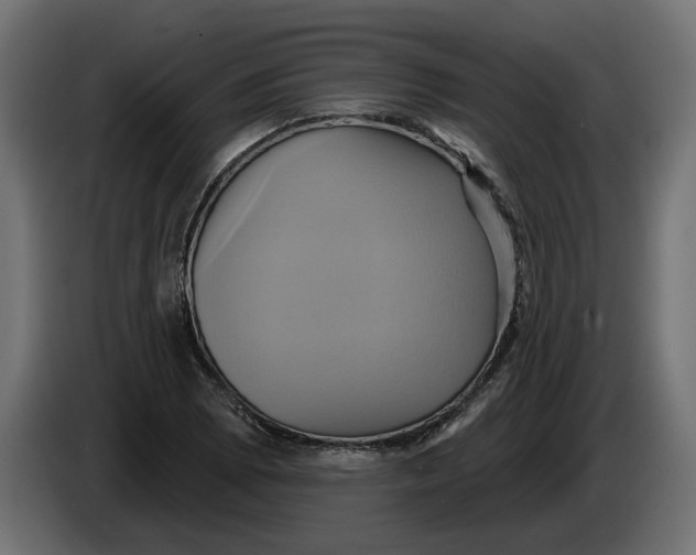 X0000086021073200704131845