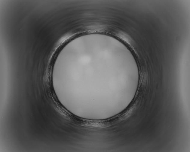 X0000086021074200704131845