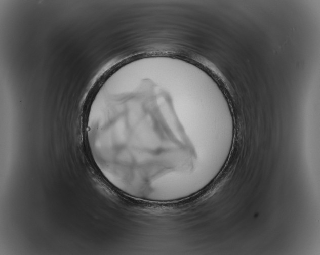 X0000086021075200704131845