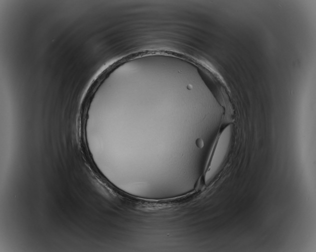 X0000086021076200704131845