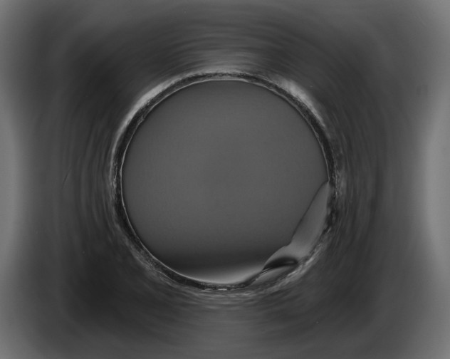 X0000086021077200704131845