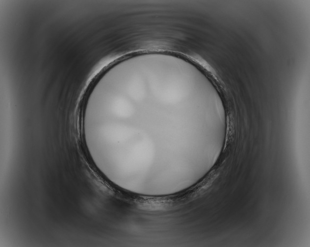 X0000086021078200704131845