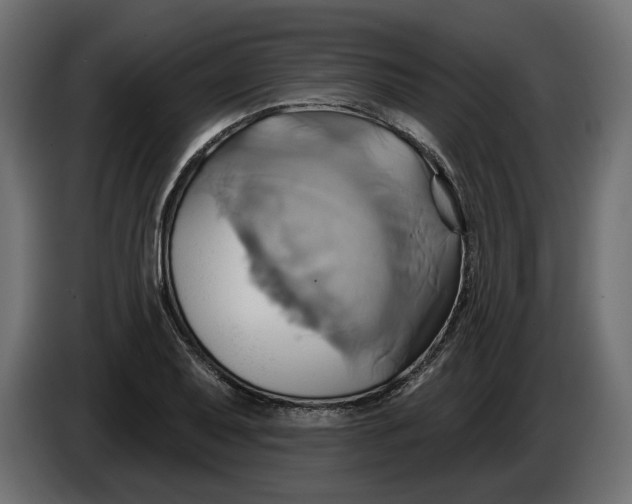X0000086021079200704131845