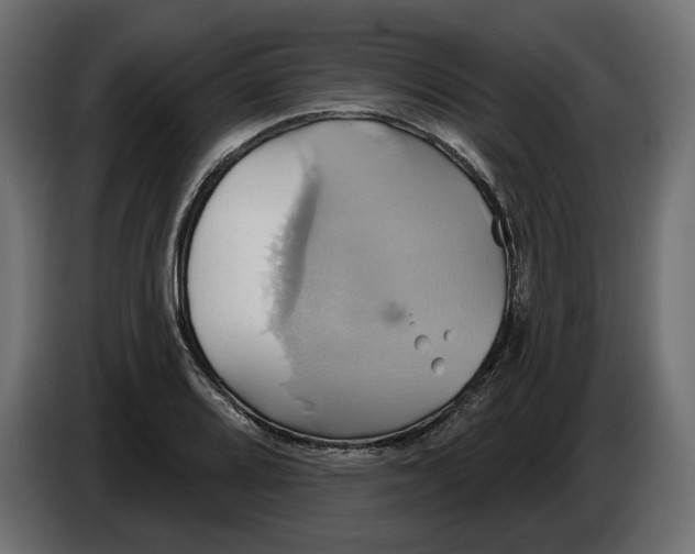 X0000086021080200704131844
