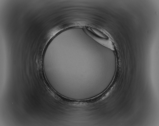 X0000086021081200704131844