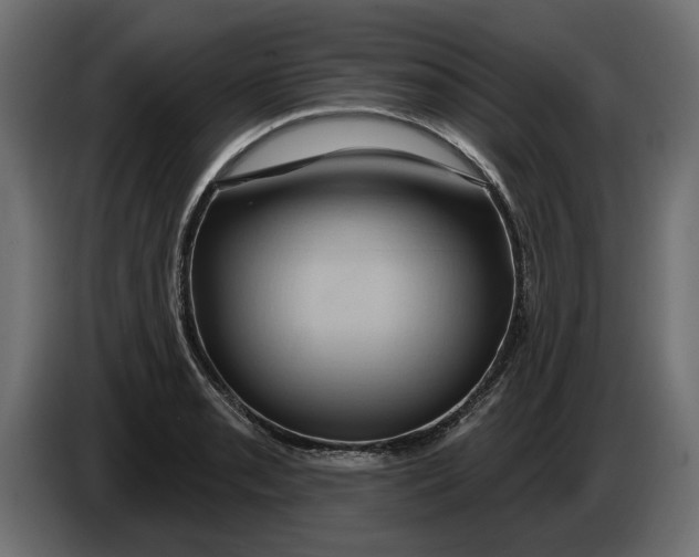 X0000086021085200704131844