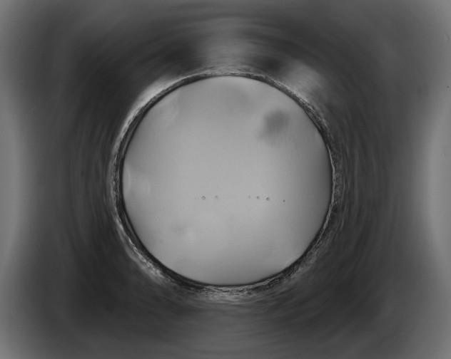 X0000086021086200704131844
