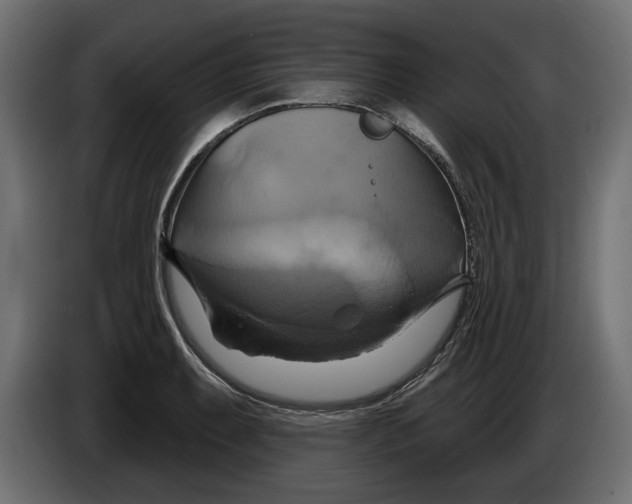 X0000086021087200704131844