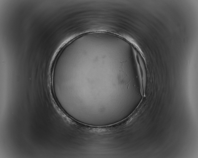X0000086021088200704131844