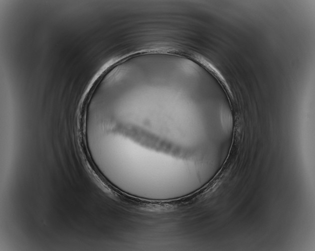 X0000086021091200704131844