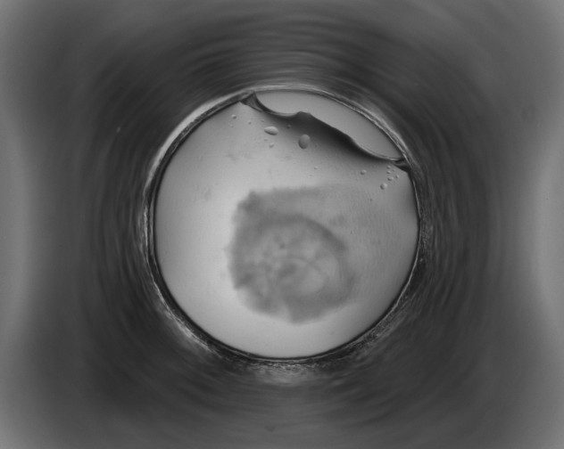 X0000086021092200704131844