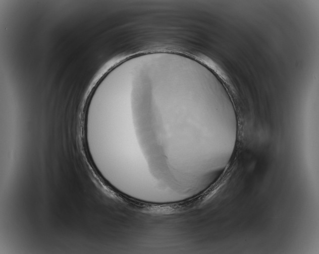 X0000086021094200704131844