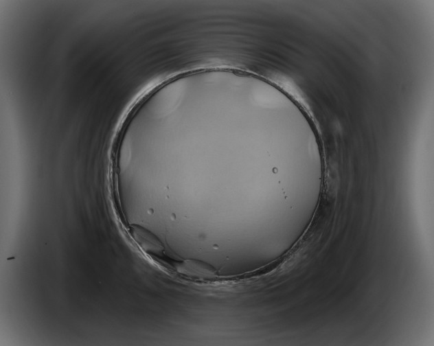 X0000086021096200704131844