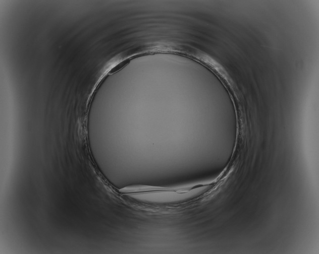 X0000086021097200704131844
