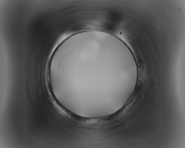 X0000086021098200704131844
