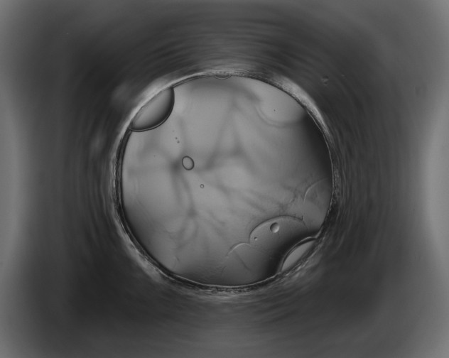 X0000086021099200704131844