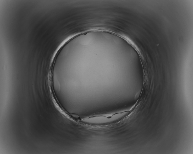 X0000086021100200704131844