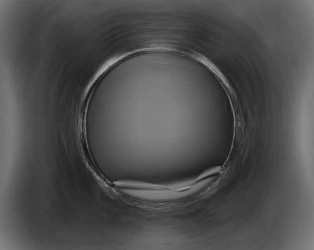 X0000086021101200704131844