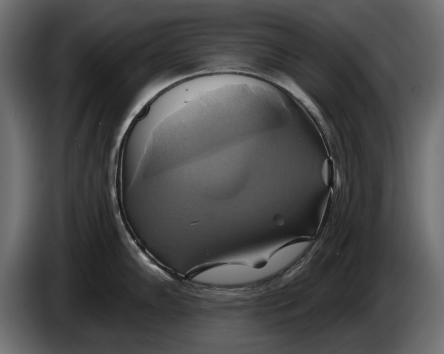 X0000086021102200704131844