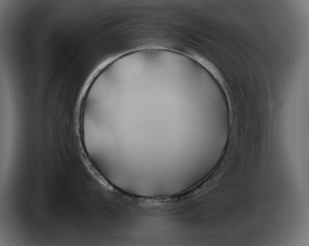 X0000086021104200704131844