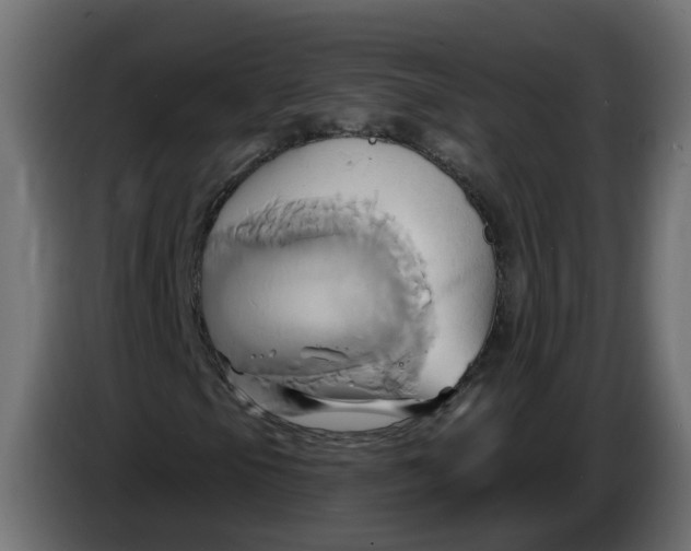 X0000086021105200704131843