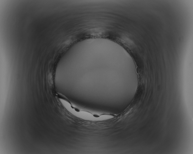 X0000086021106200704131844