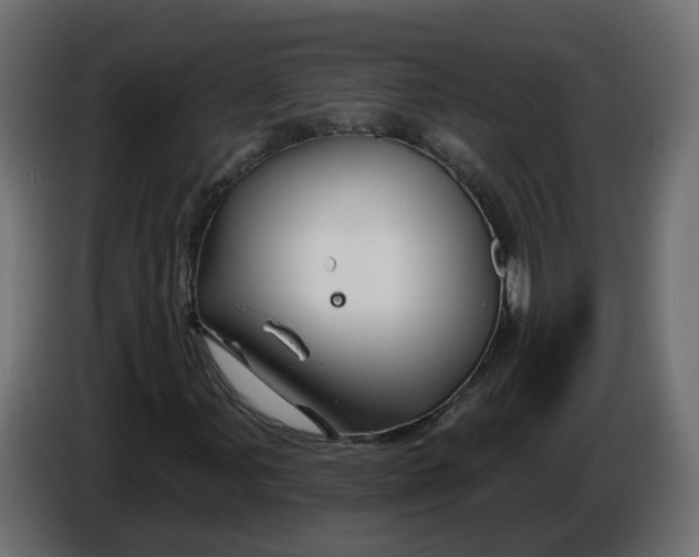 X0000086021107200704131844