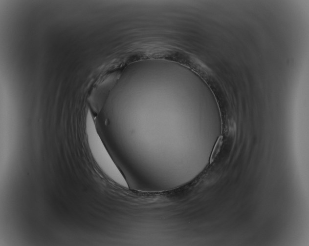 X0000086021108200704131844
