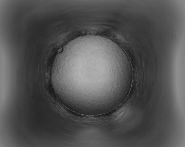 X0000086021109200704131844