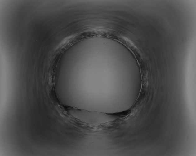 X0000086021110200704131844