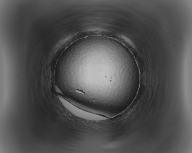 X0000086021111200704131844