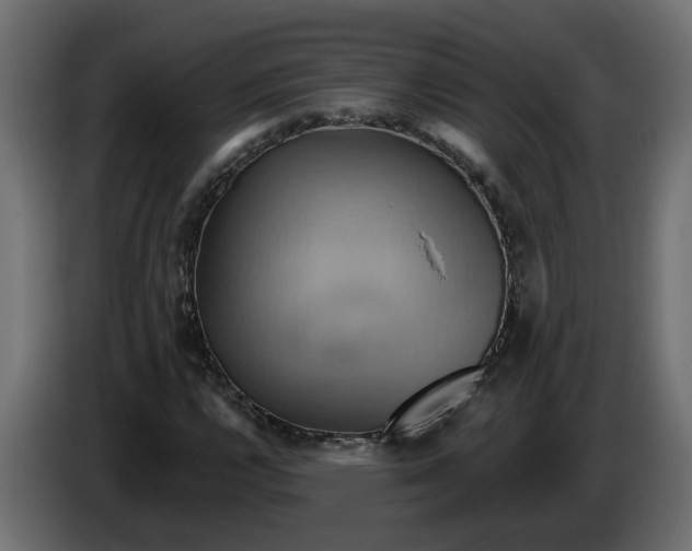 X0000086021112200704131844