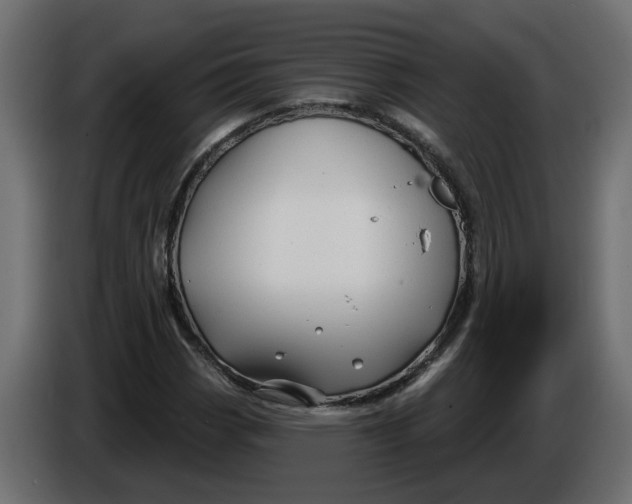 X0000086021113200704131844