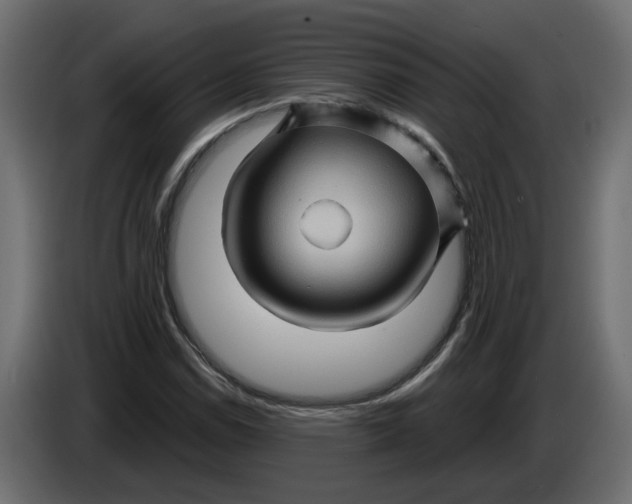 X0000086021114200704131844