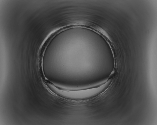 X0000086021116200704131844