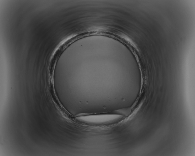X0000086021117200704131844