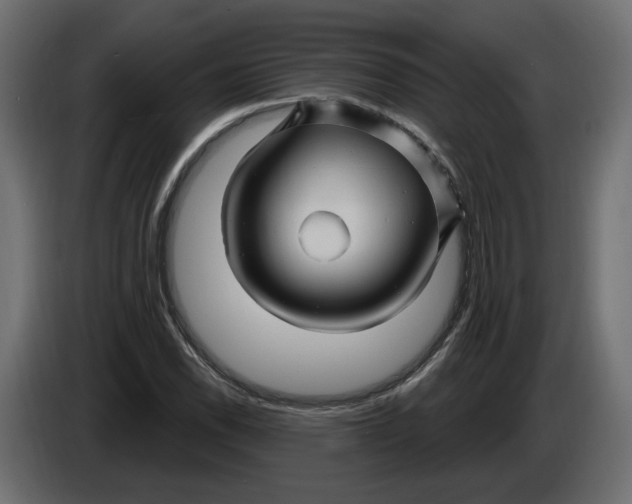 X0000086021118200704131844