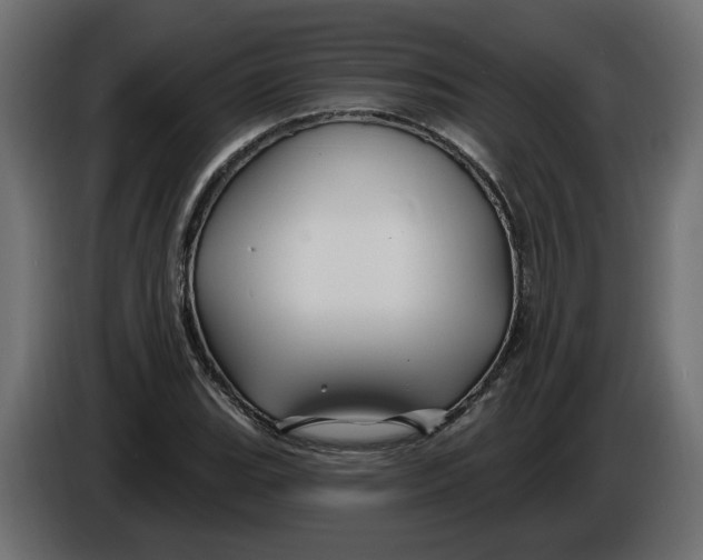X0000086021119200704131844