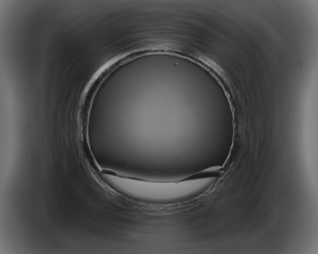 X0000086021120200704131844