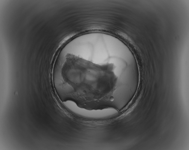 X0000086021121200704131844