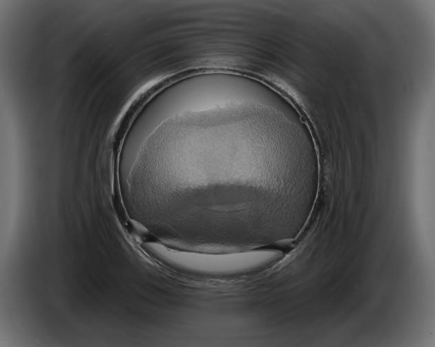 X0000086021123200704131844