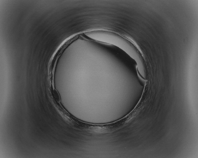 X0000086021124200704131844
