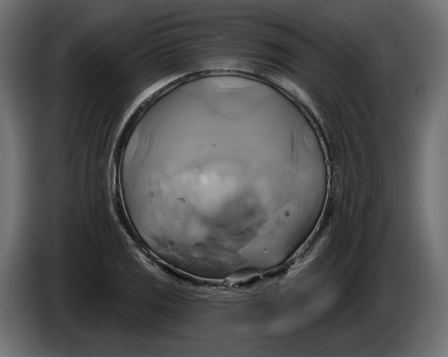 X0000086021125200704131844